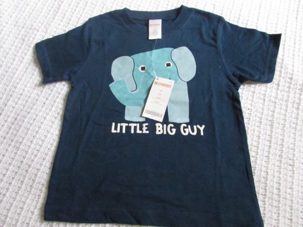 B-Camiseta GYMBOREE